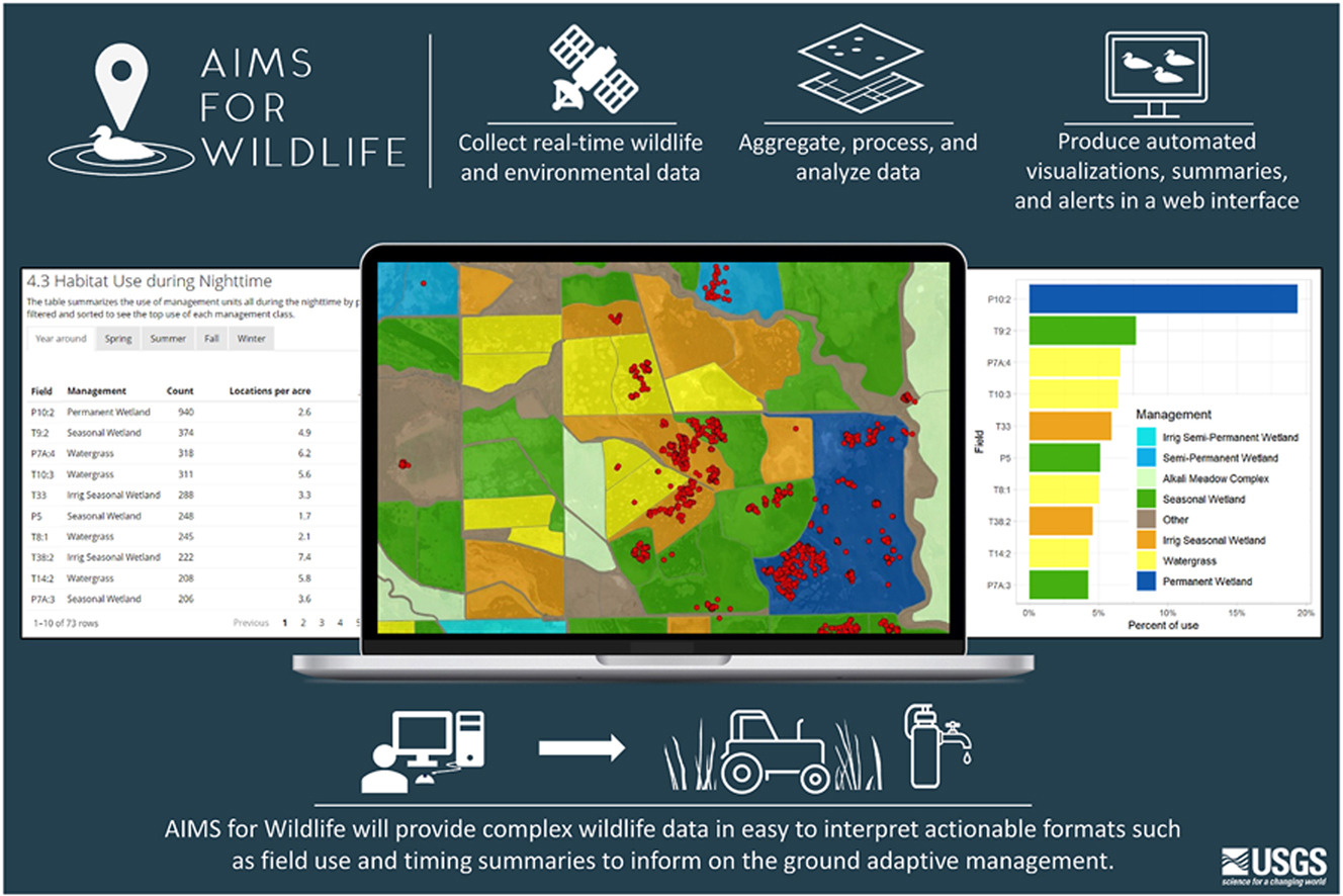 AI-powered wildlife monitoring and conservation technologies
